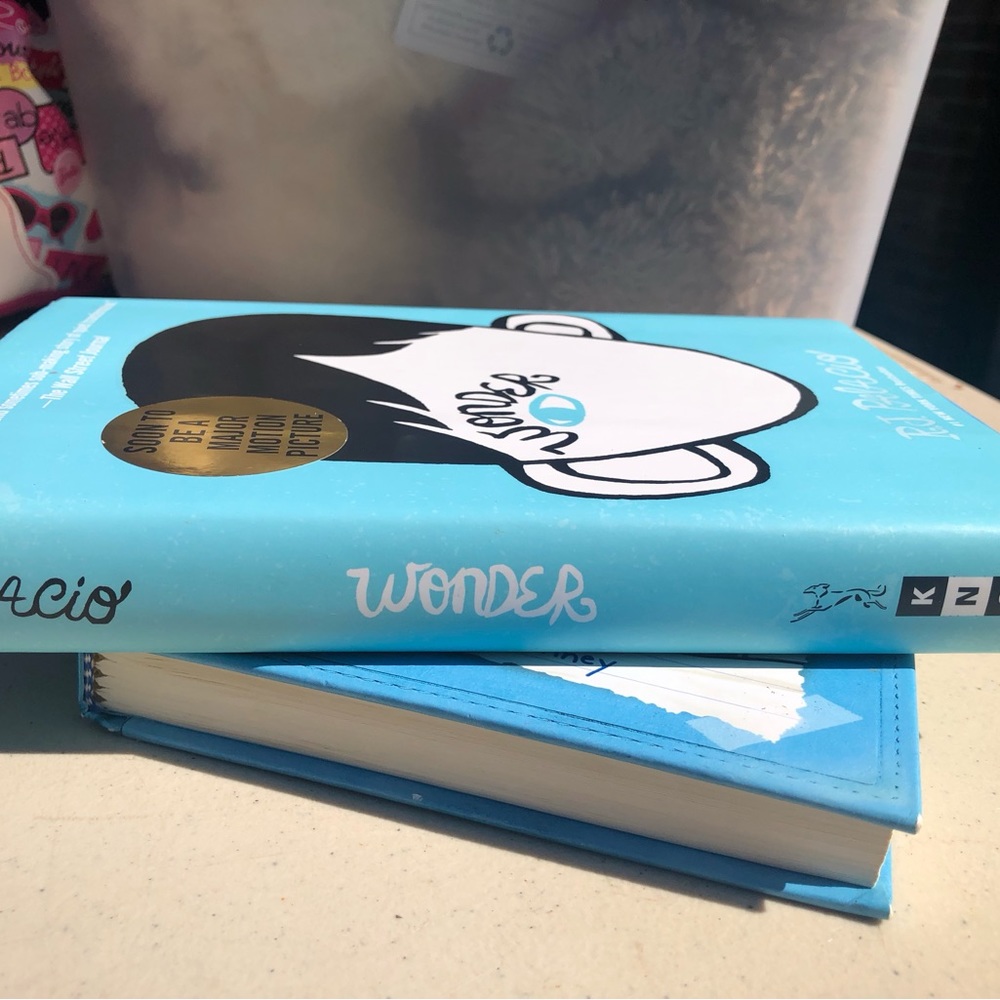 Wonder - Picture 5 of 7